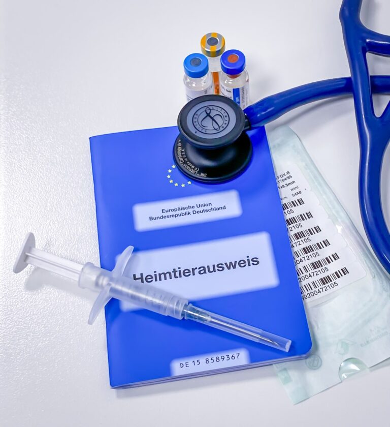 Impfpass Kopie min